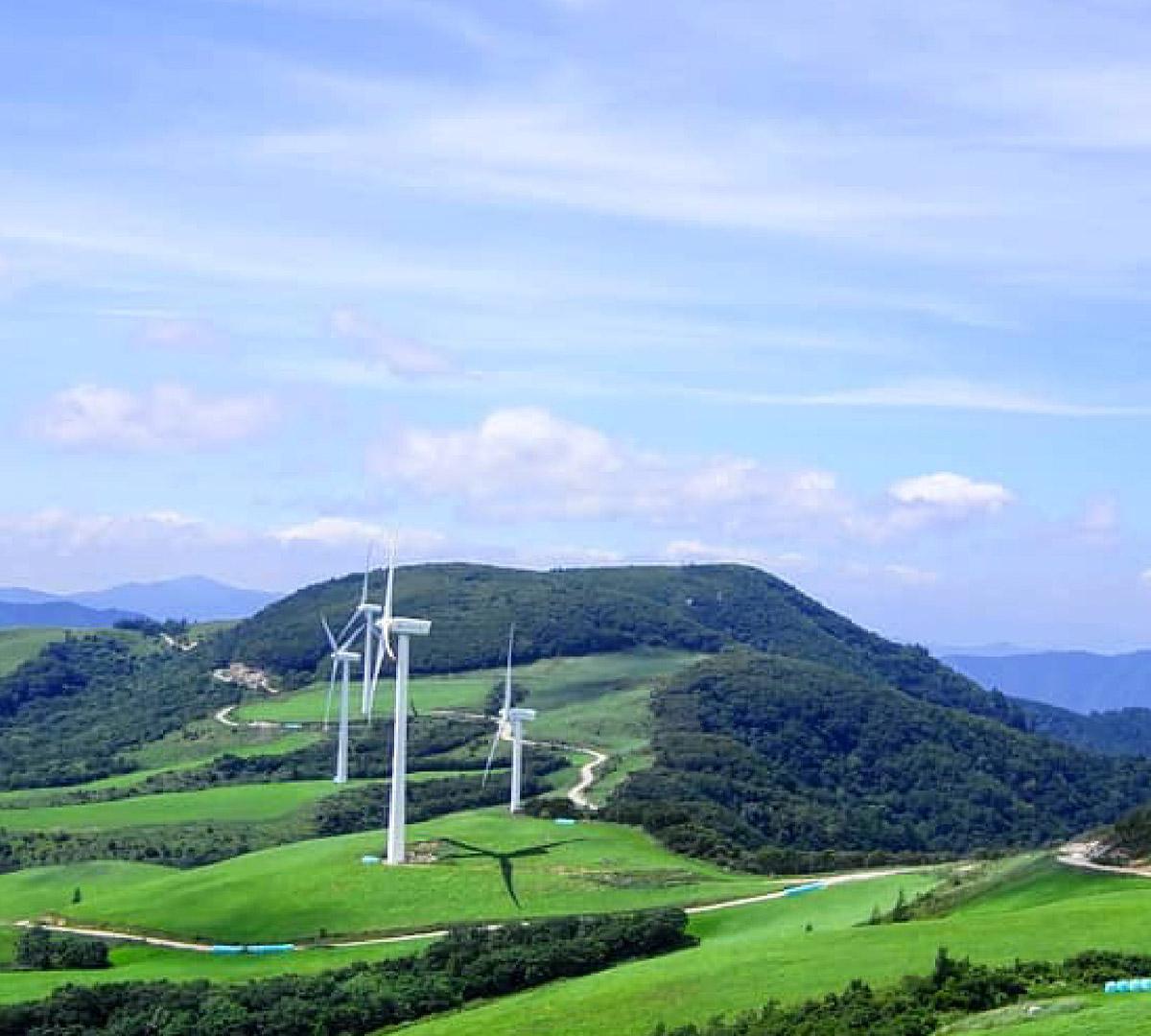 Balwangsan Mountain + Samyang Ranch Day TourㅣSeoul Departure-image