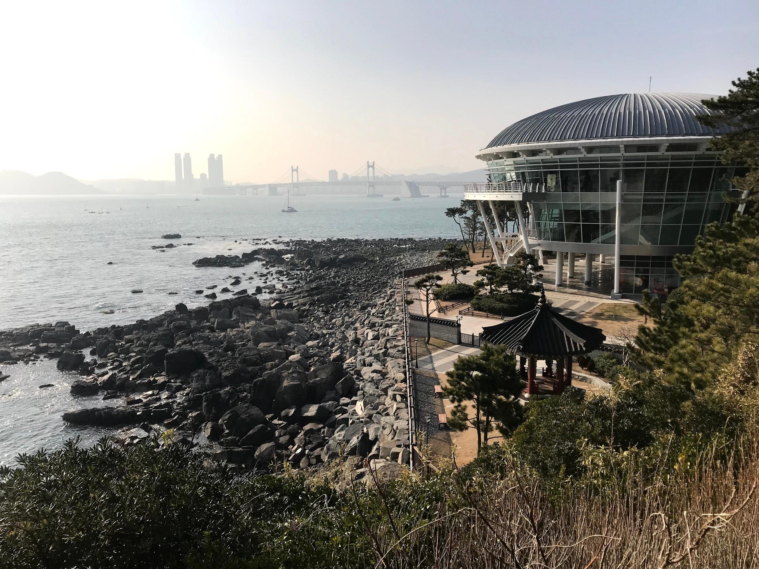 Scenic view of Dongbaek Island's cycling path with water, sky, and mountains in the background, surrounded by lush greenery and city skyscrapers.