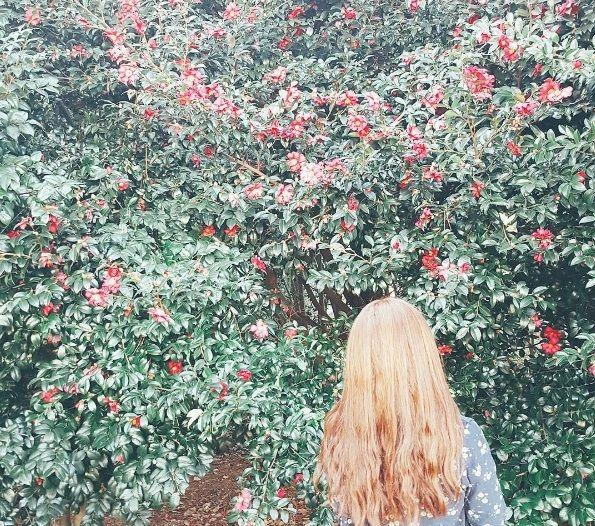 Scenic trail loop around Dongbaek Island, showcasing plant life and trees in nature, with people walking and the sea in the background.