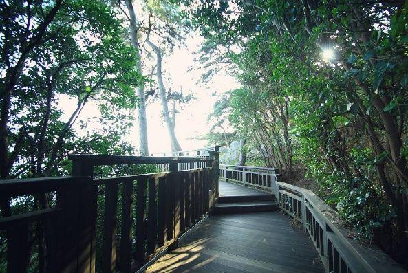 A natural landscape with a walking path on Dongbaek Island, Busan. Trees, grass, and a wooden fence surround the path. A bridge arches over a serene blue sky.