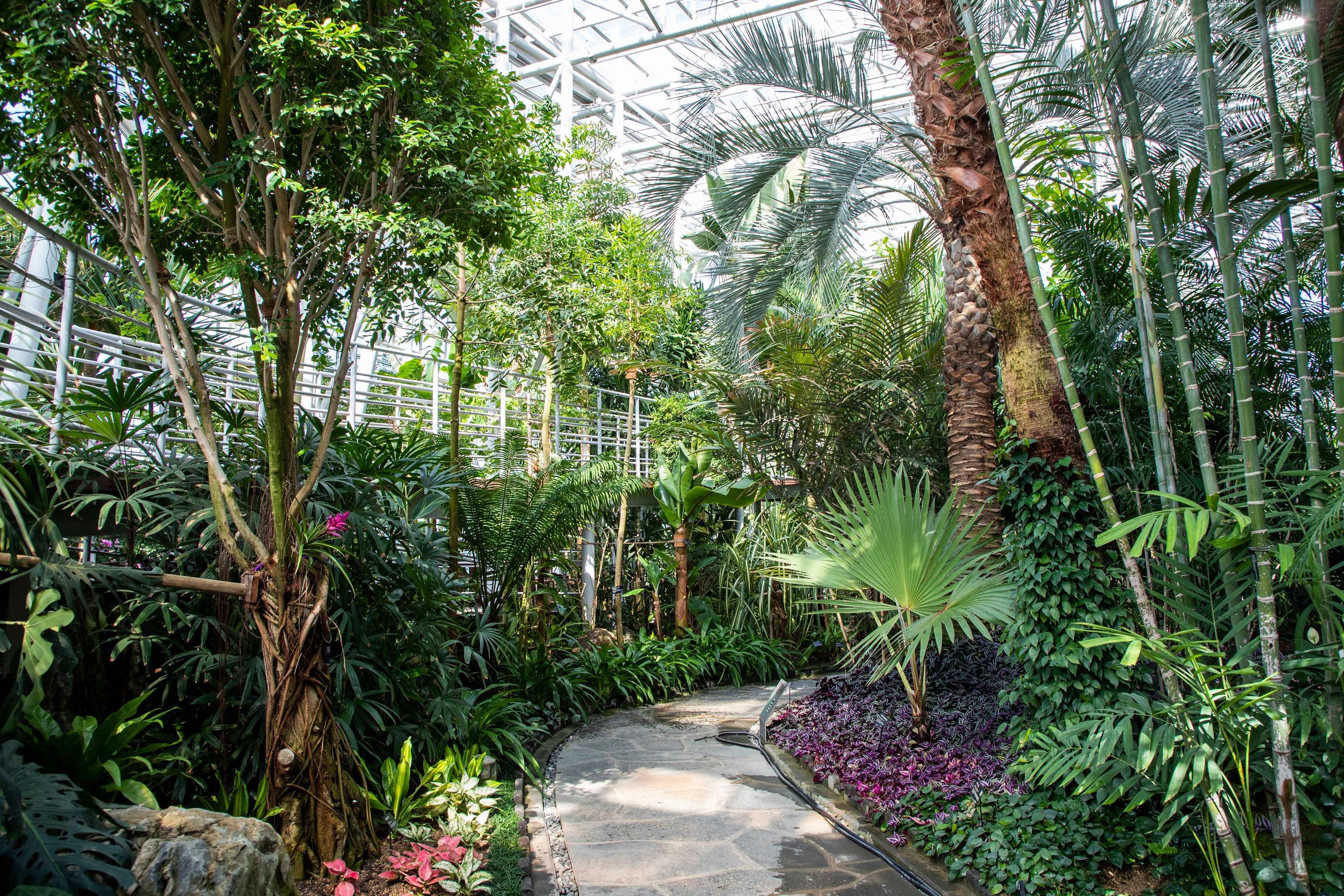 Hanbat Arboretum