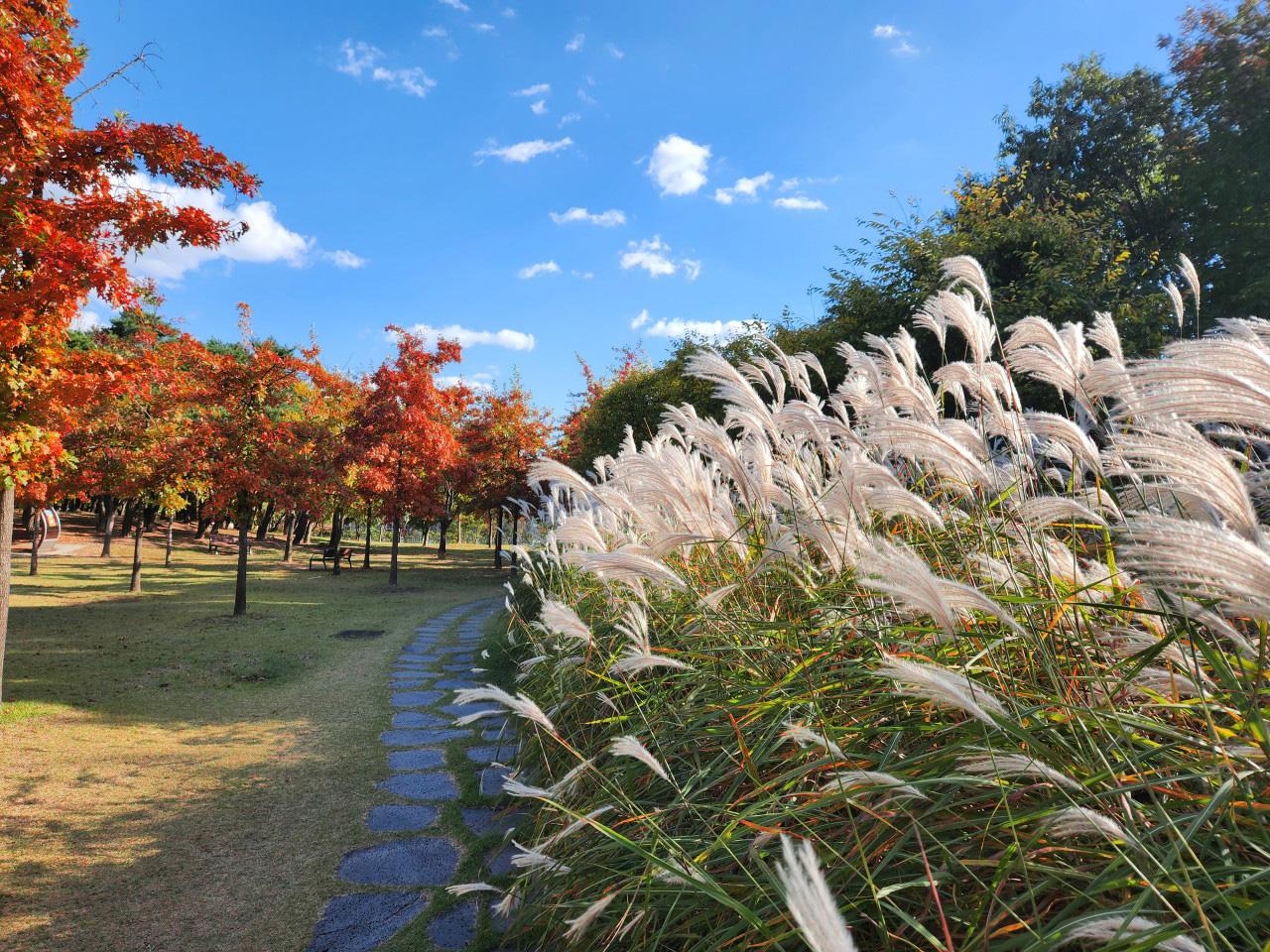 Hanbat Arboretum