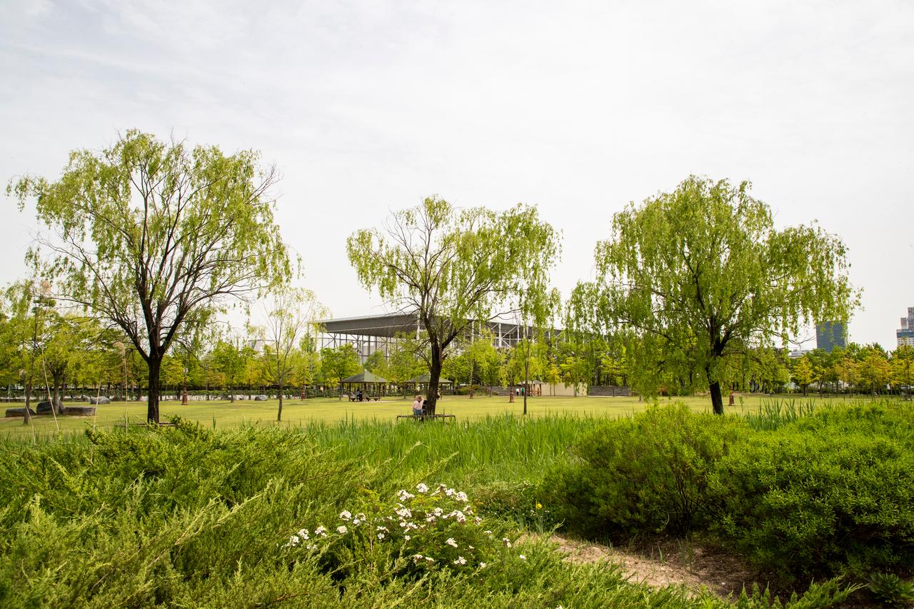 Hanbat Arboretum
