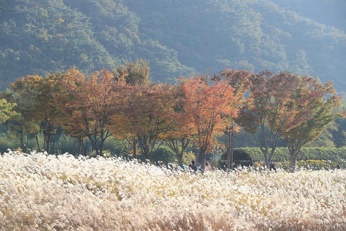 Ulsan