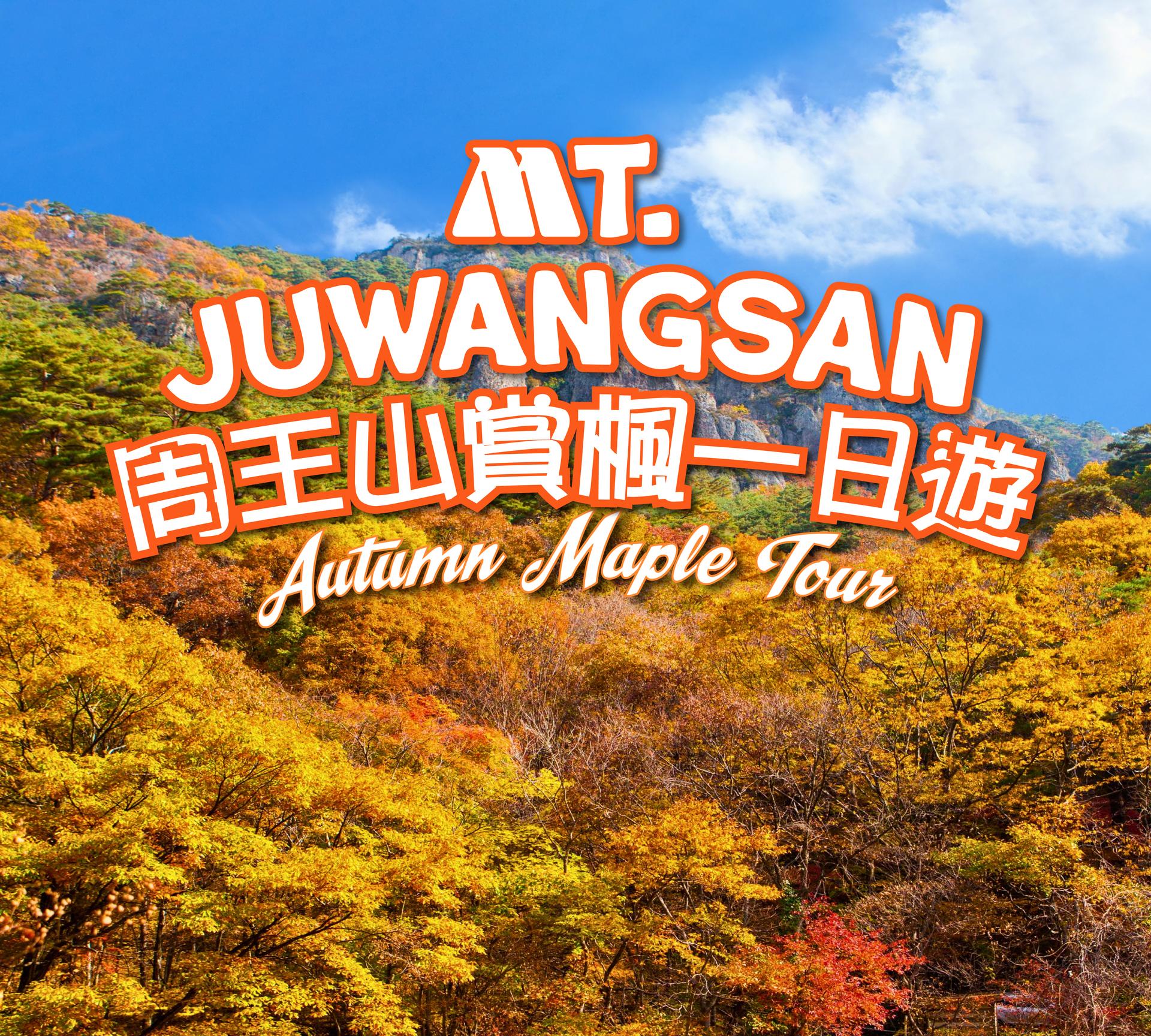 Tour de un día sobre el follaje de otoño de JuwangsanㅣSalida de Busan [del 16 de septiembre al 10 de noviembre, 20 % de descuento]