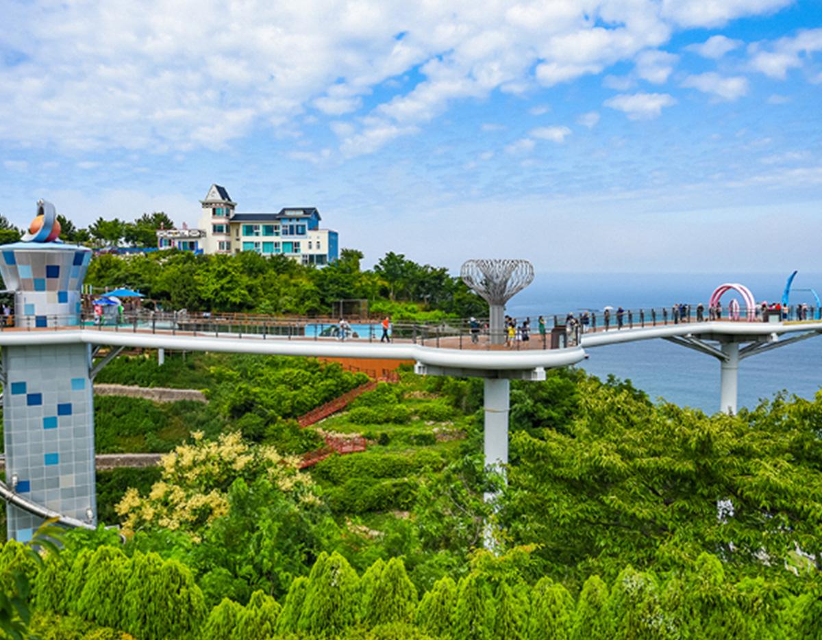 Coastal Beauty & K-pop Landmarks : Gangneung&Donghae 2D1N Tour