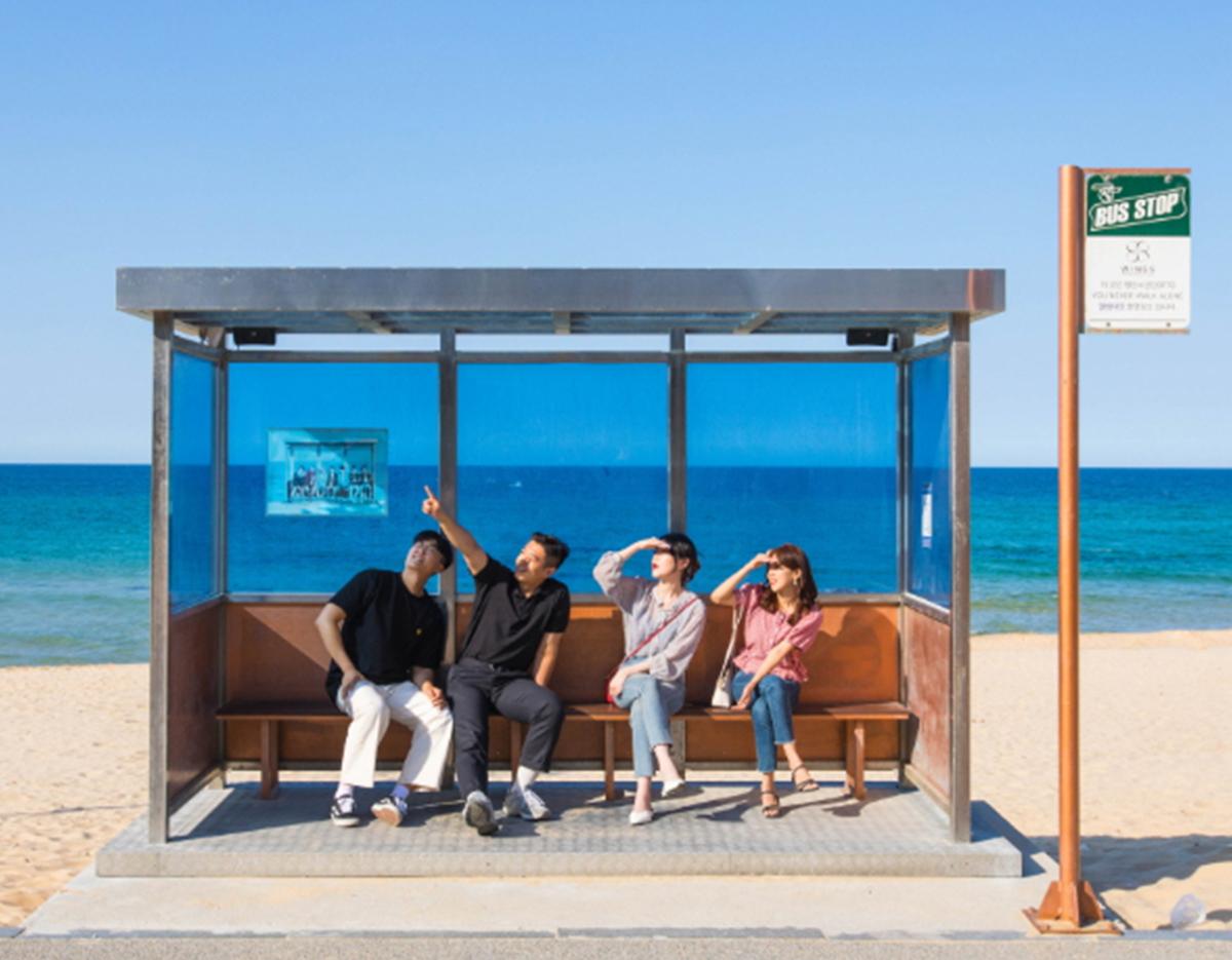 Coastal Beauty & K-pop Landmarks : Gangneung&Donghae 2D1N Tour