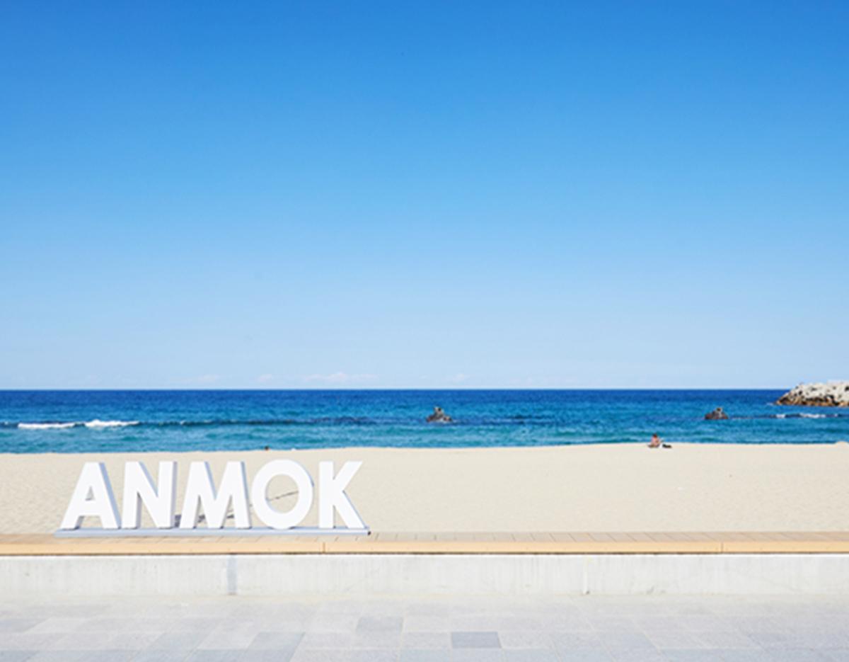 Coastal Beauty & K-pop Landmarks : Gangneung&Donghae 2D1N Tour