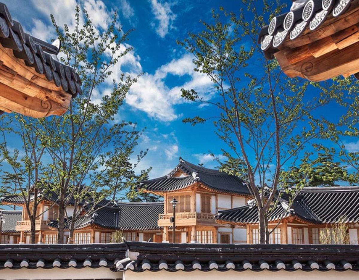 Coastal Beauty & K-pop Landmarks : Gangneung&Donghae 2D1N Tour