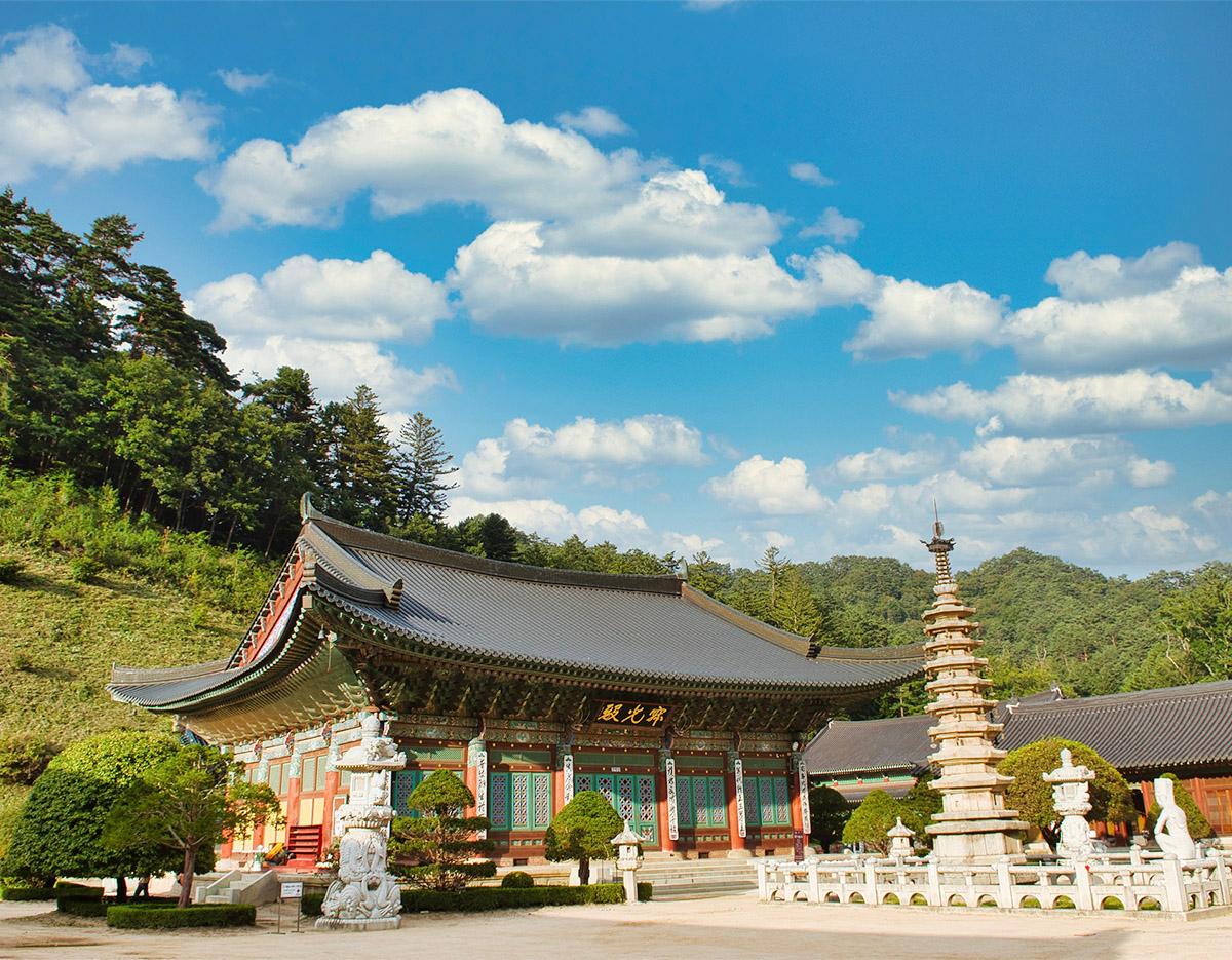 4 Days Easy Trek and Trip (Gangwon or Gyeongsang)