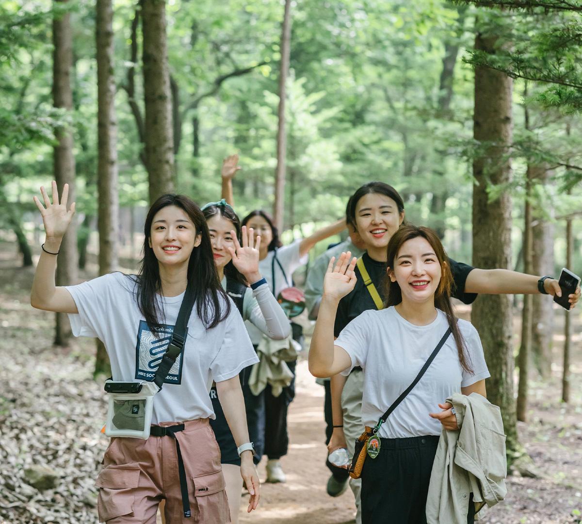 4 Days Easy Trek and Trip (Gangwon or Gyeongsang)