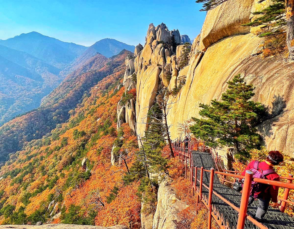 Easy Trek PKG 2, Seoraksan National Park (Explore 2 or 3 Routes)