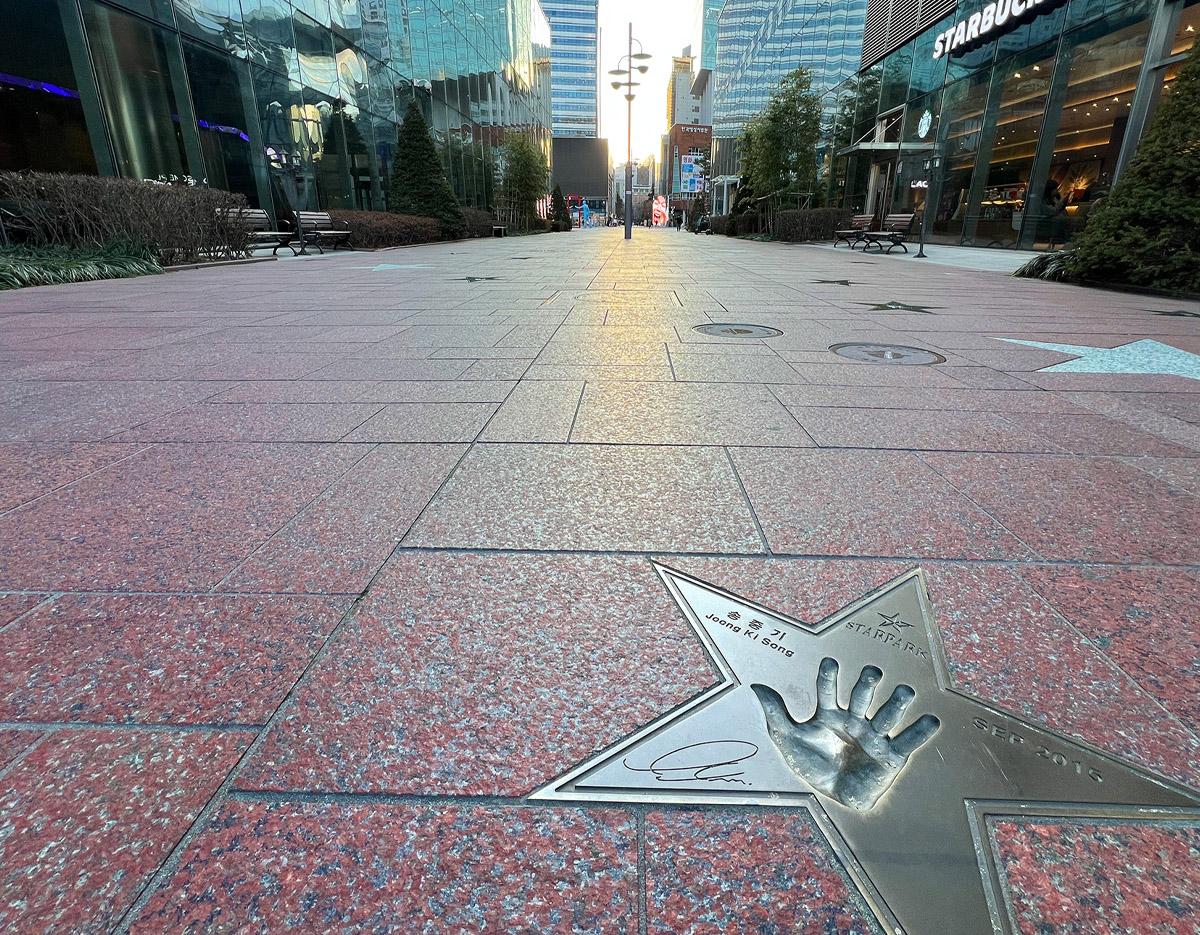 Star Park (with celebrities handprints)