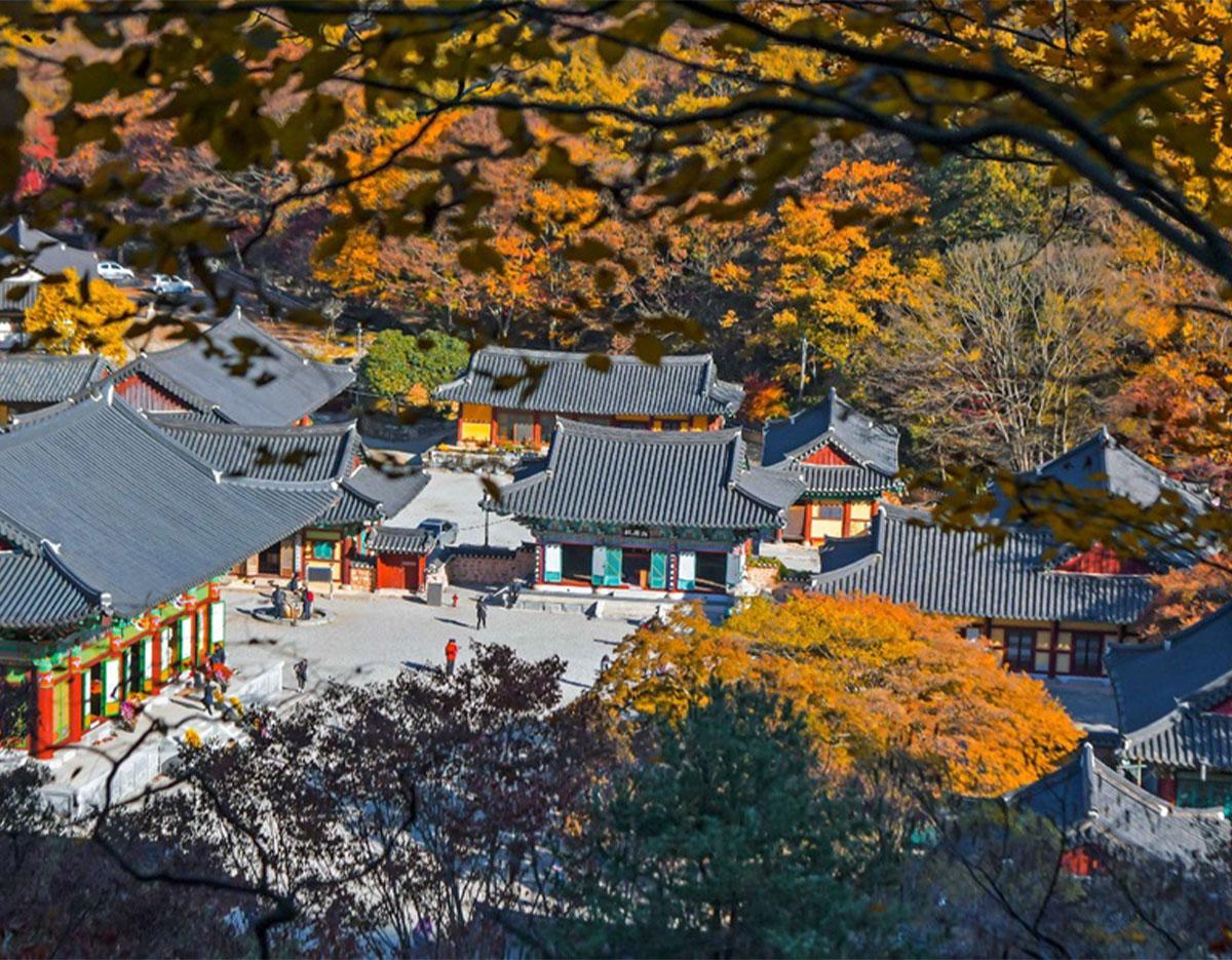 Naejangsan National Park