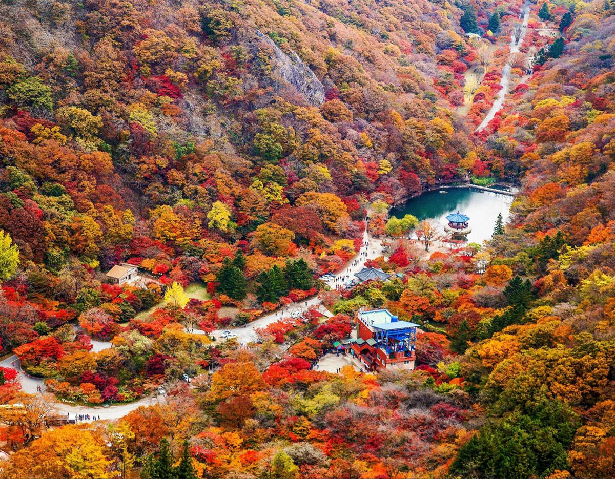 Naejangsan National Park