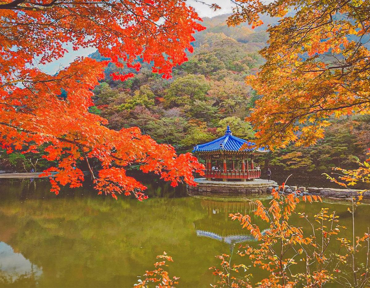 Naejangsan National Park