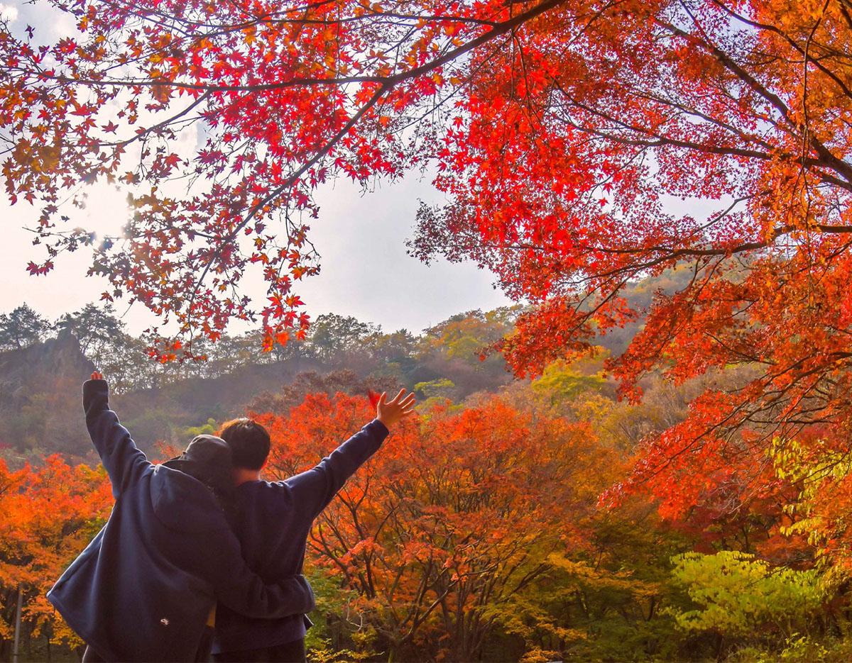 Naejangsan National Park