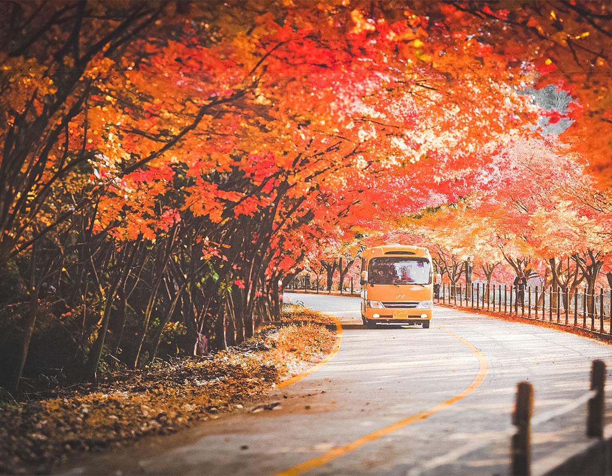 Naejangsan National Park