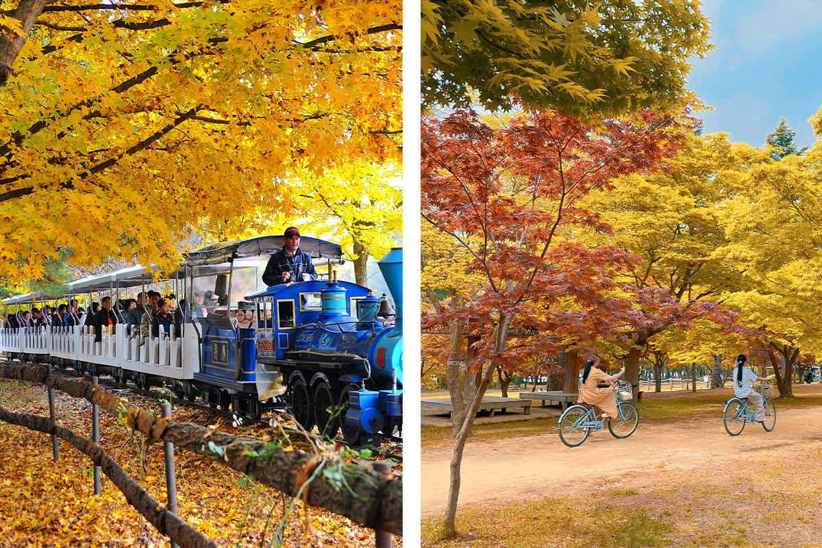 Nami Island