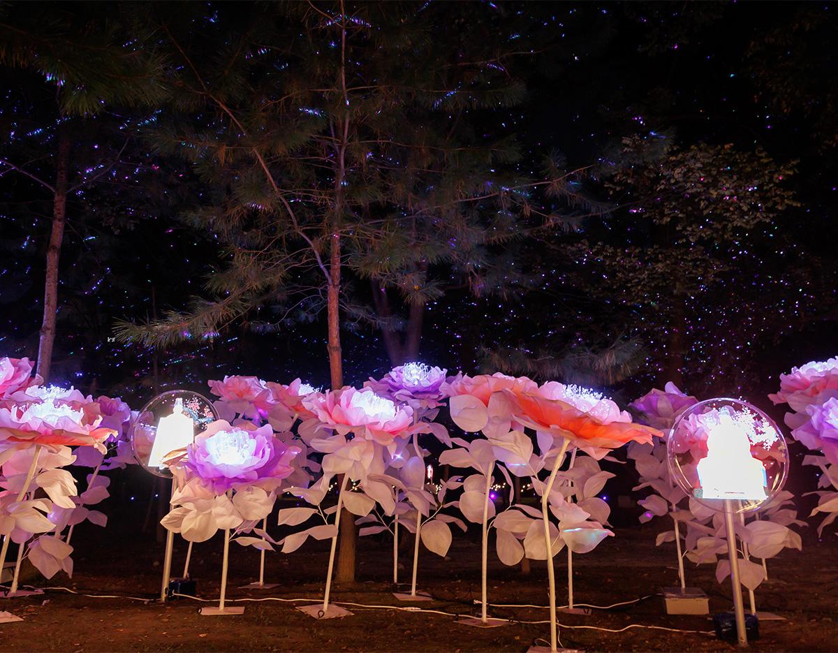 Immersive Art Performance 'Hwaryeong'