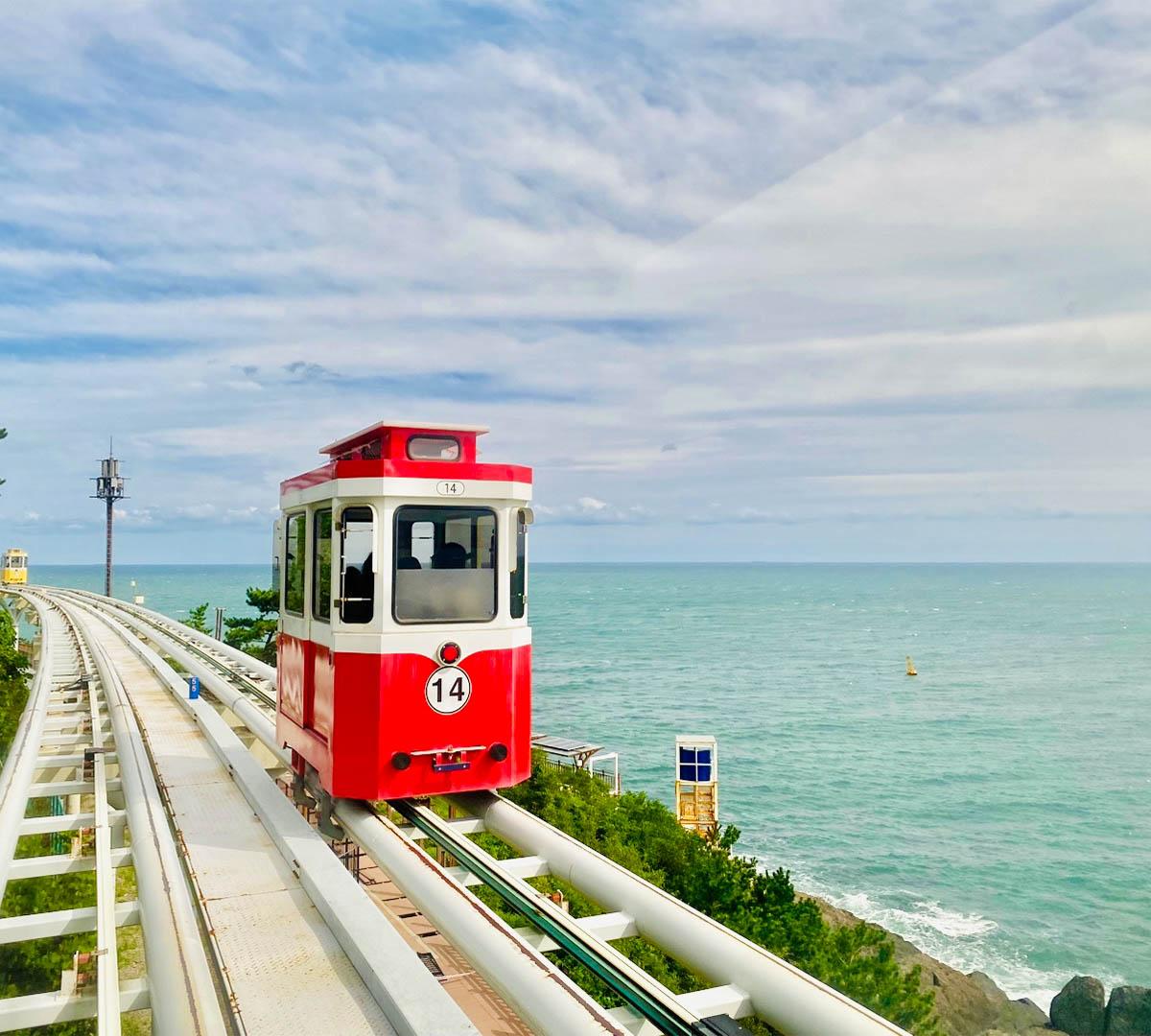 Recorrido diurno y nocturno por los lugares imprescindibles de Busan: salida desde Busan-image