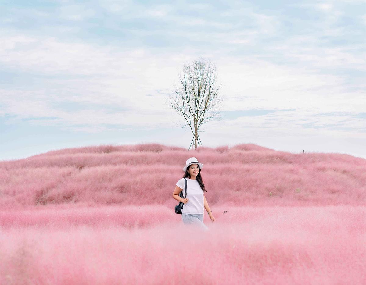 Autumn Special: Jinju Namgang Lantern Festival & Pink Muhly Grass Field Tour