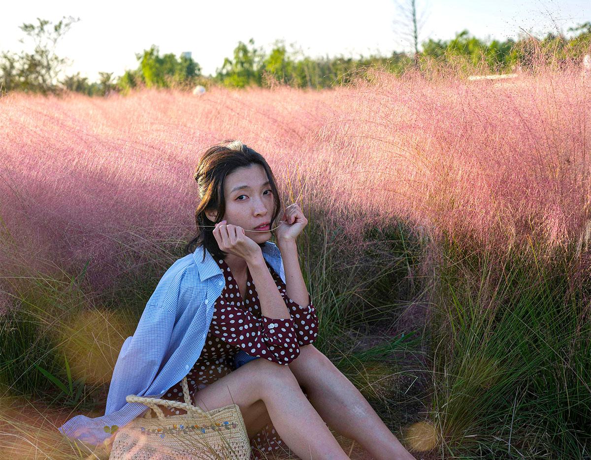 Autumn Special: Jinju Namgang Lantern Festival & Pink Muhly Grass Field Tour