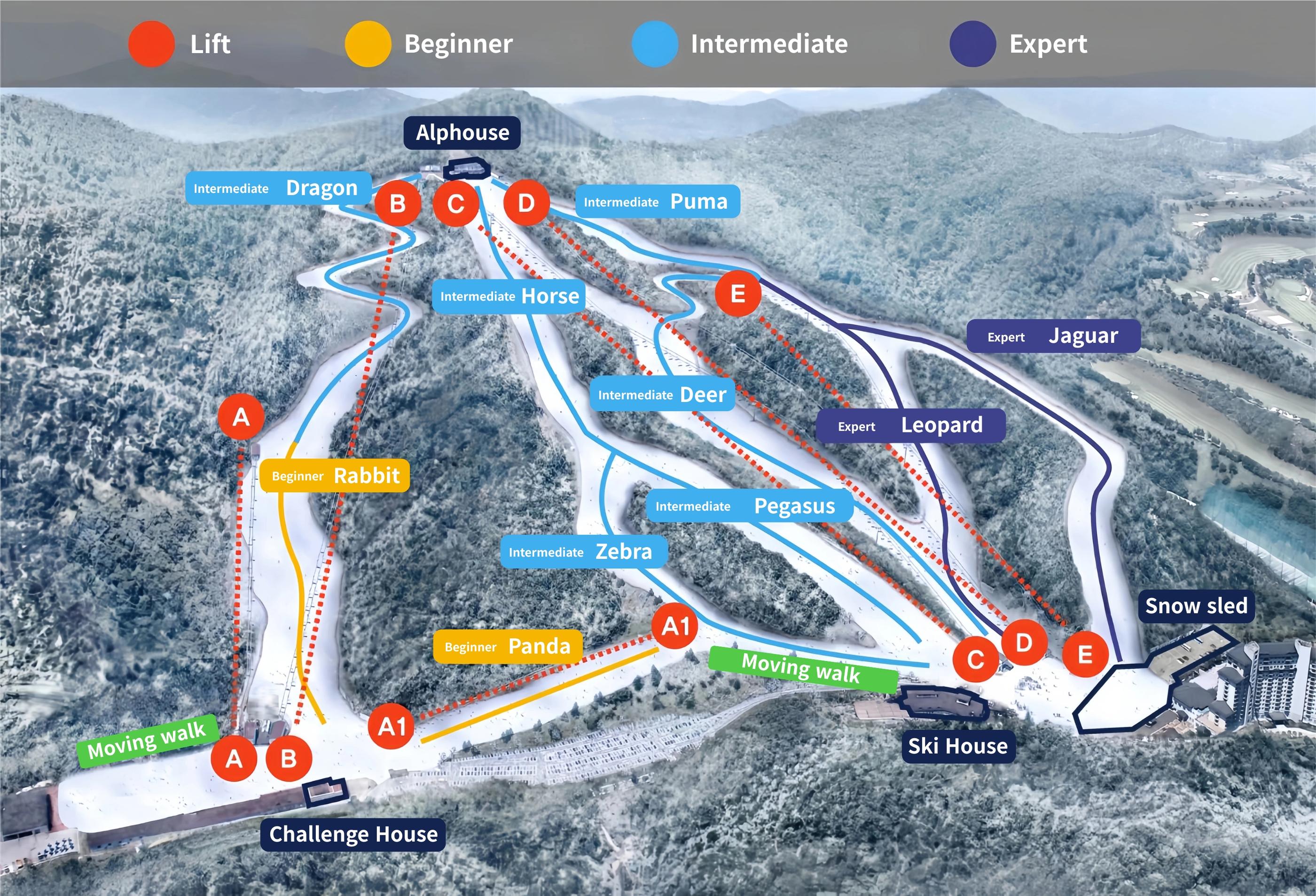 Elysian Gangchon ski day tour