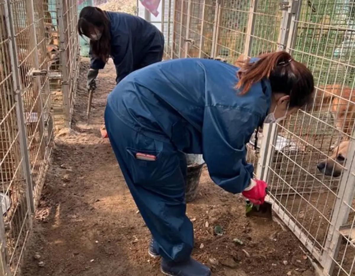 [1DAY] Seoul Rescued Animal Care