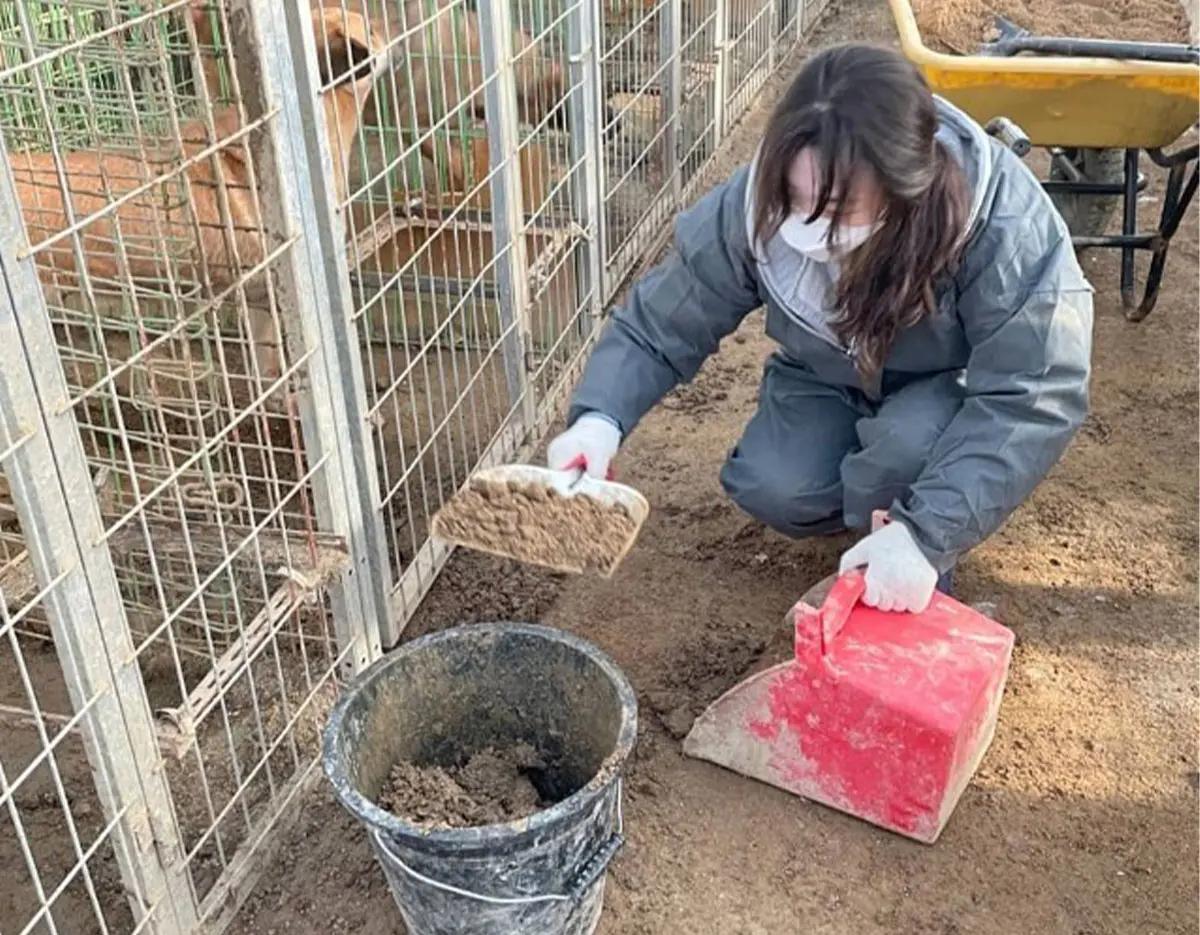 [1DAY] Seoul Rescued Animal Care