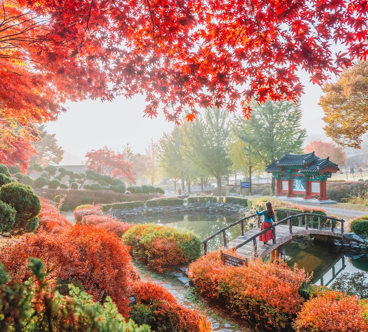 Jecheon | Visite privée en taxi-image