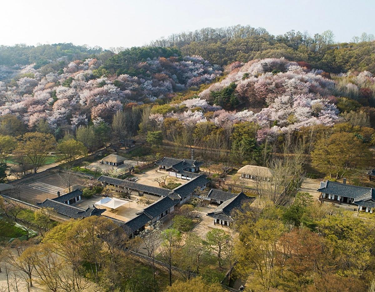 Korean Folk Village