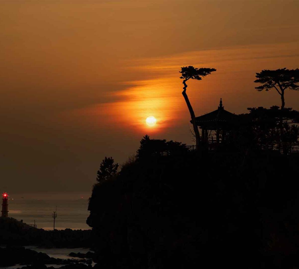 2025 New Year's Countdown & Naksansa Temple Sunrise Tour | Seoul Departure-image