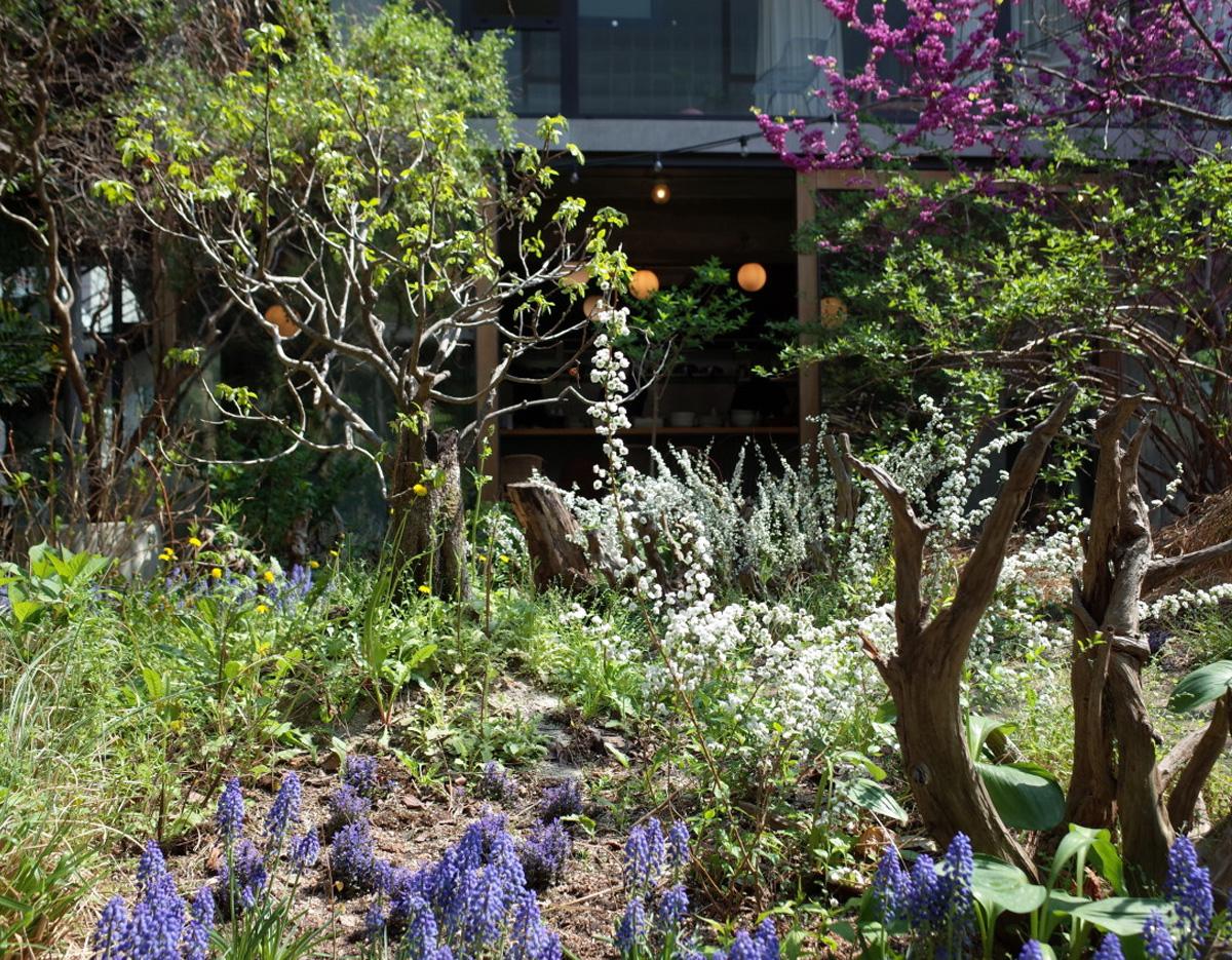 Piatti con ingredienti naturali da Moss Garden