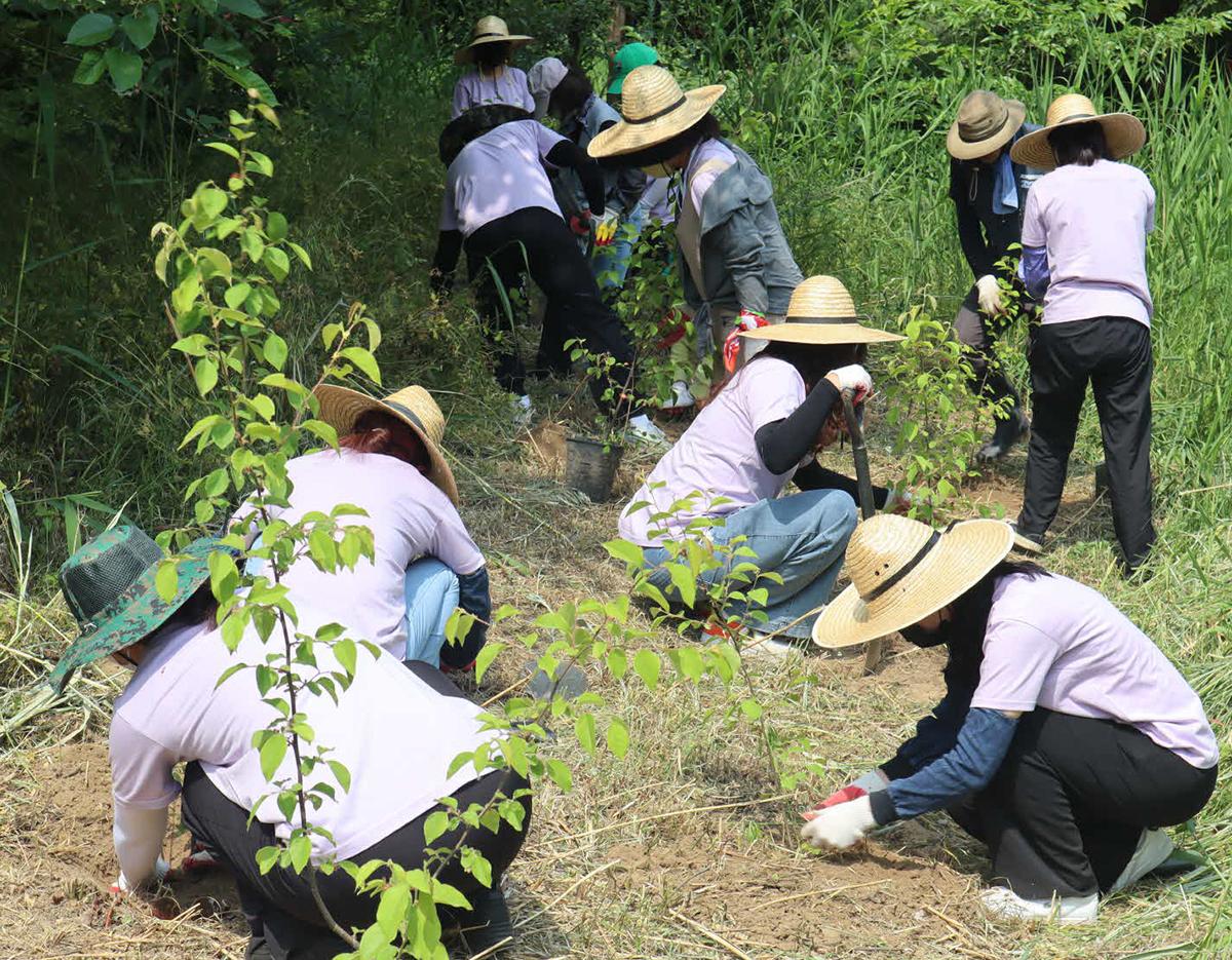 Seoul Ecological Park Volunteer