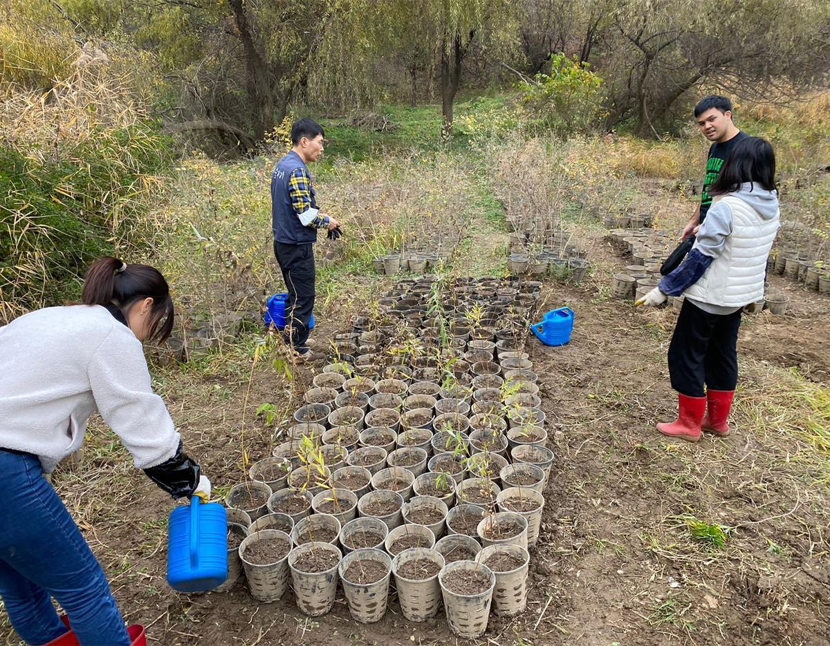 Seoul Ecological Park Volunteer