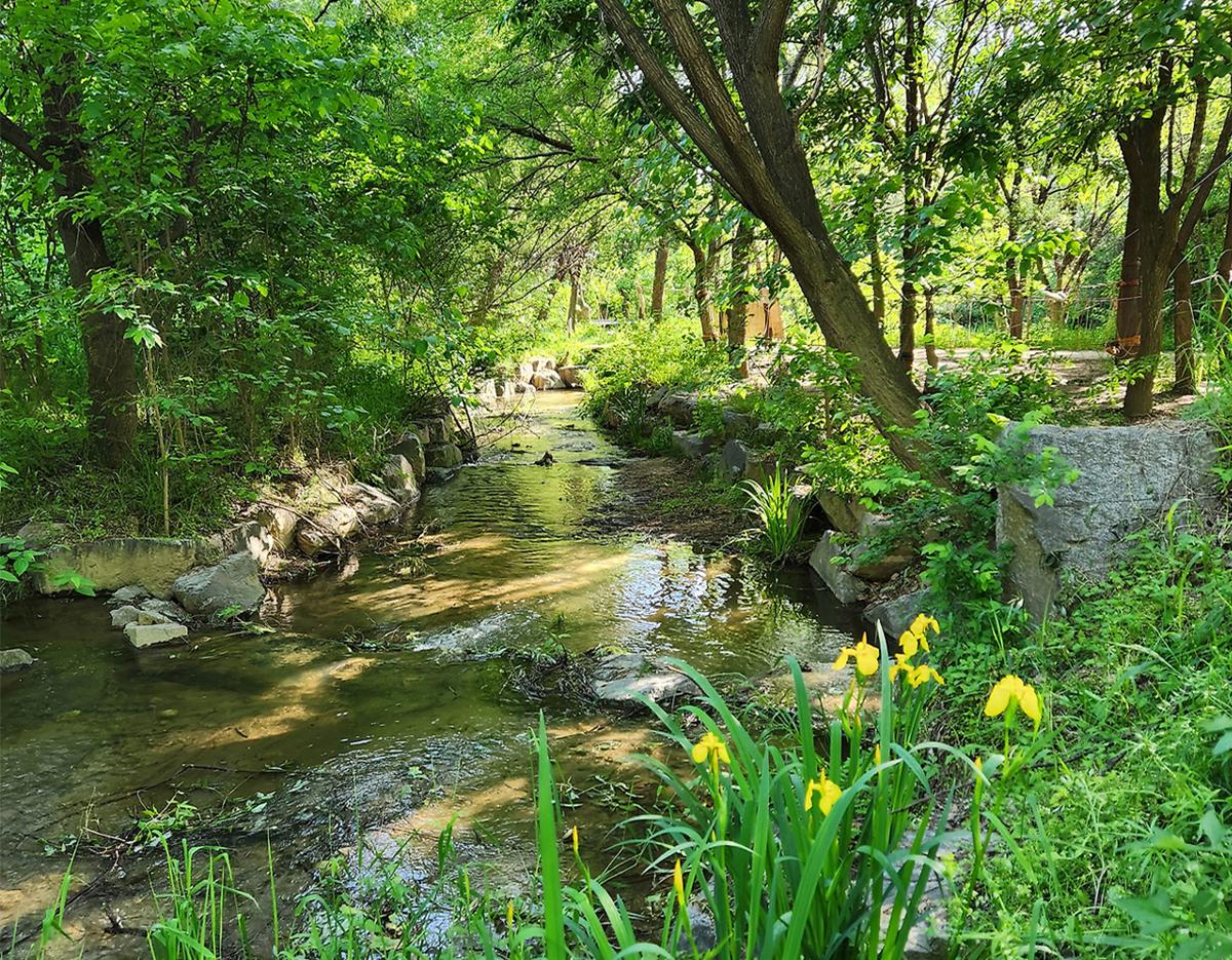 Seoul Ecological Park Volunteer