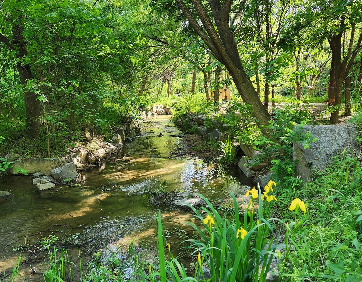 Seoul Ecological Park Volunteer