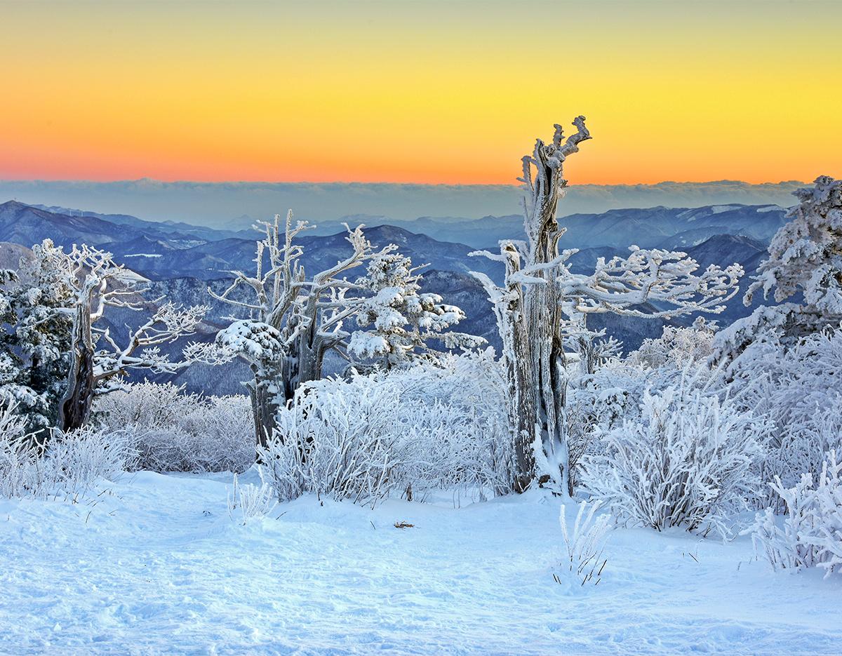 Top 2 Snowflake Hiking in South Korea + Local Restaurants by Region