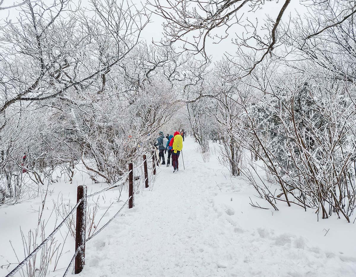 Top 2 Snowflake Hiking in South Korea + Local Restaurants by Region