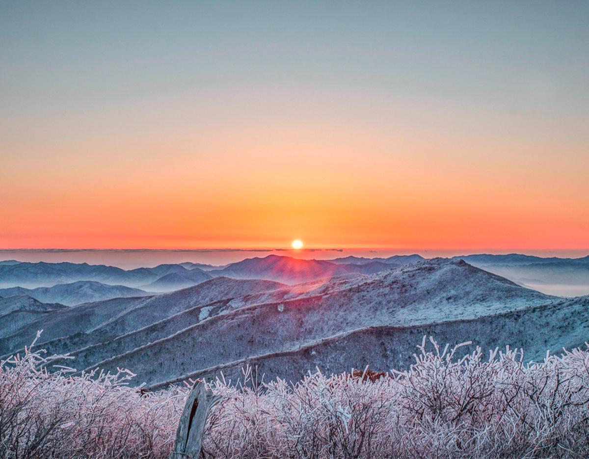 Top 2 Snowflake Hiking in South Korea + Local Restaurants by Region