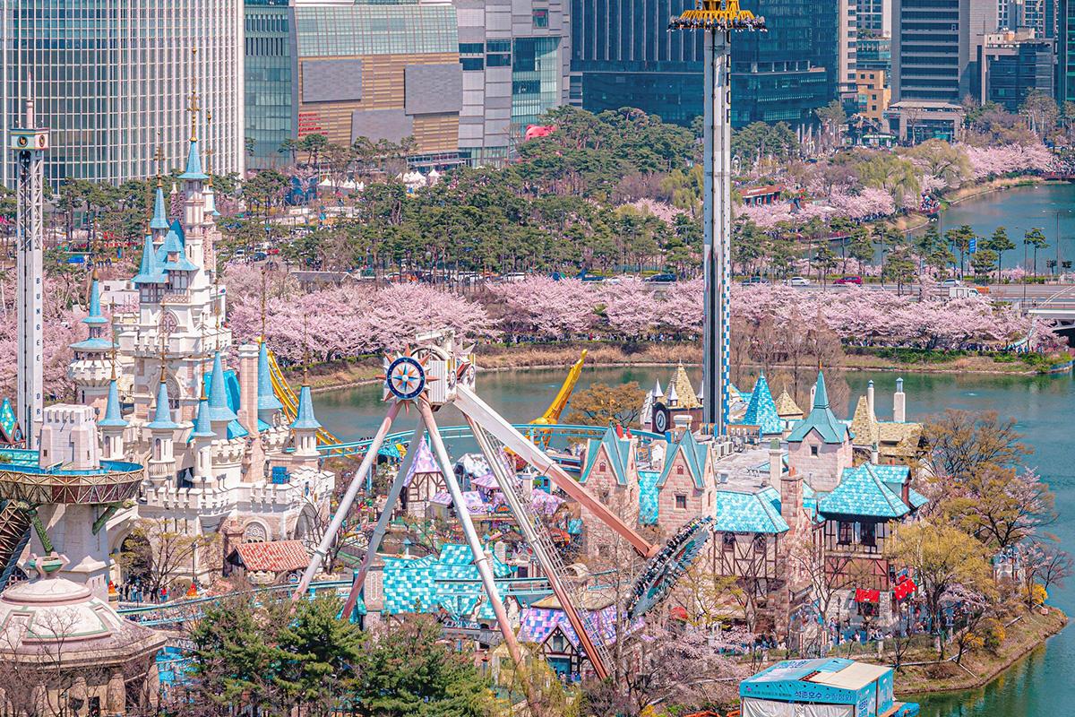 Ultra lotte experience tour