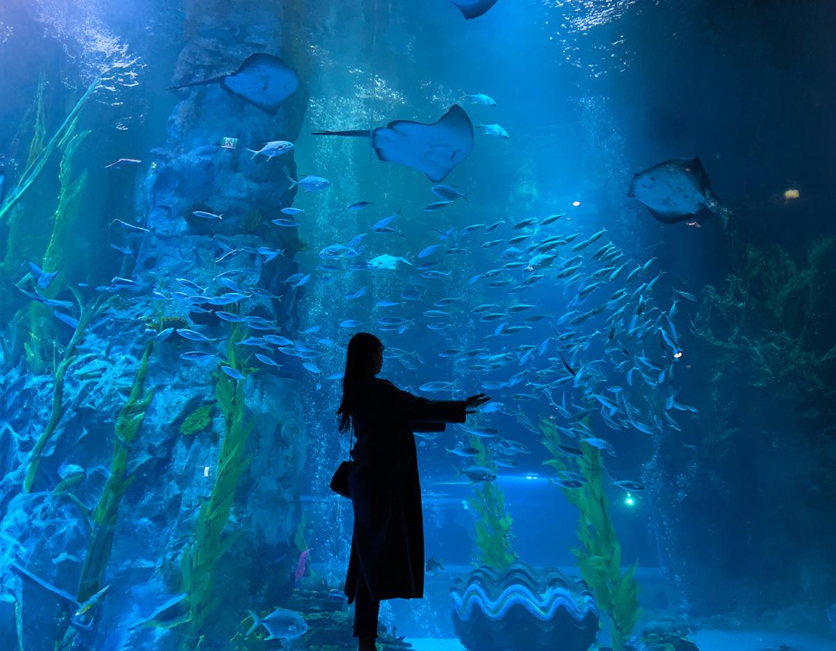 Ultra lotte experience tour