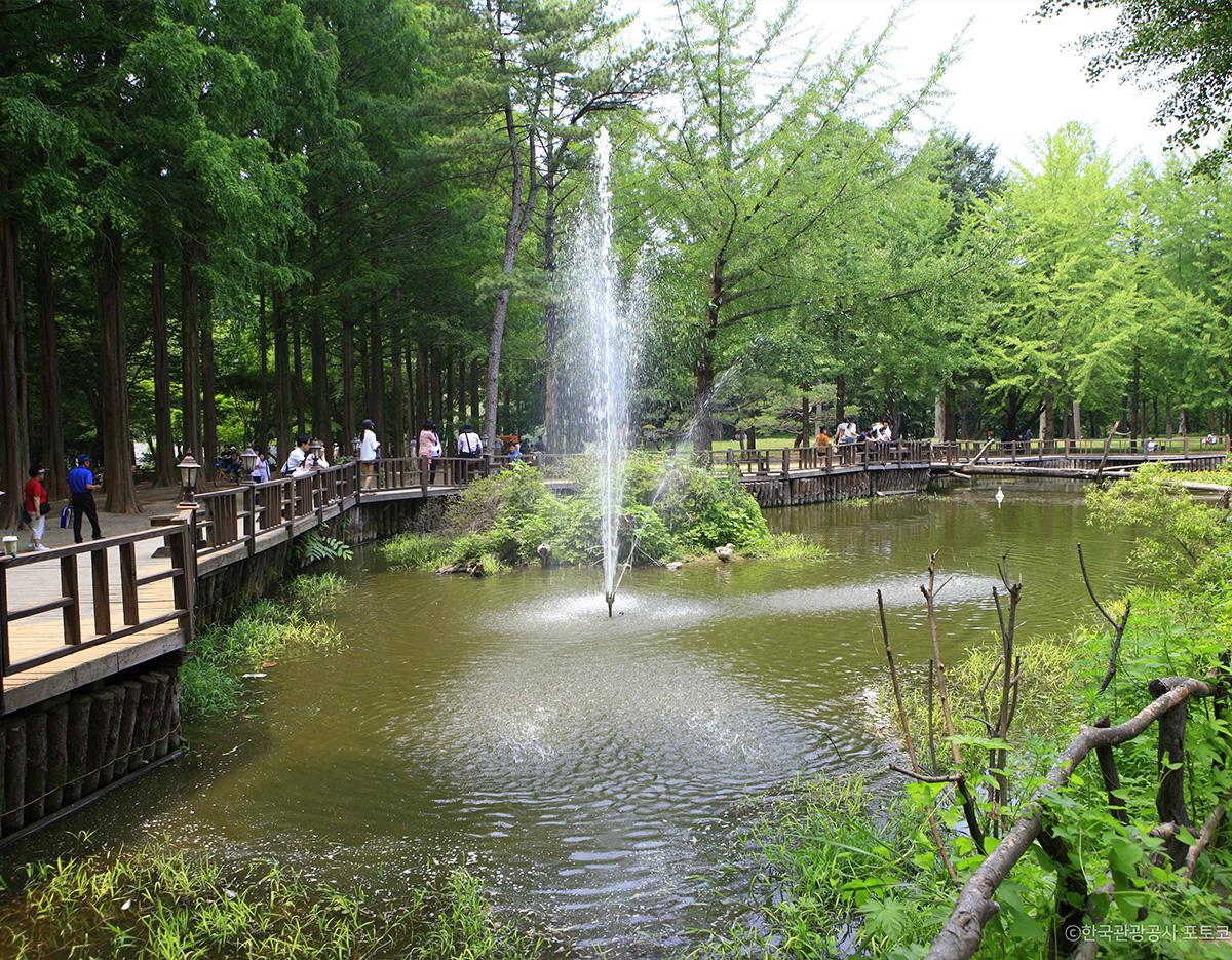 Nami Island + Lotte World/Seoul Sky One Day Tour