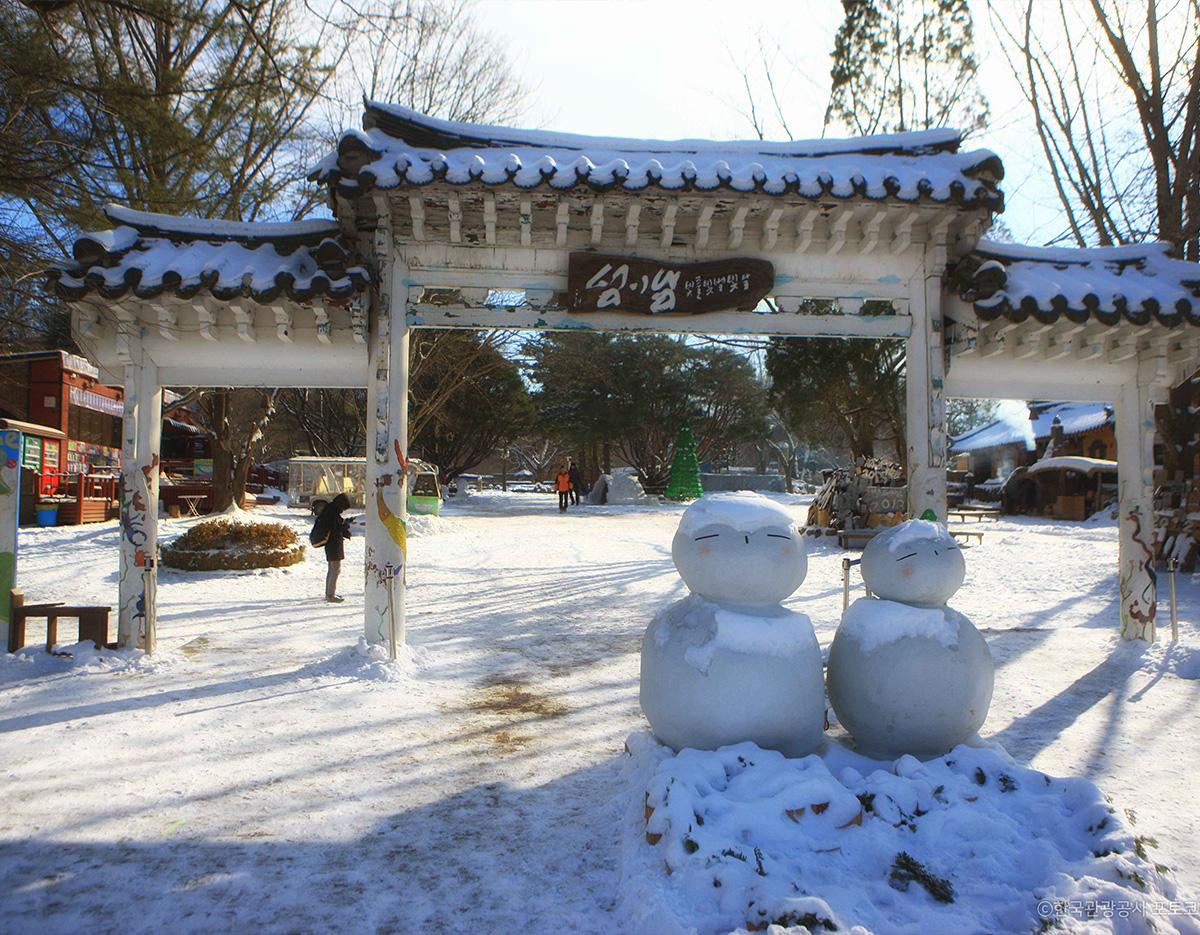 Nami Island + Lotte World/Seoul Sky One Day Tour