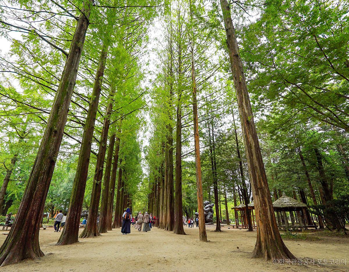 Nami Island + Lotte World/Seoul Sky One Day Tour