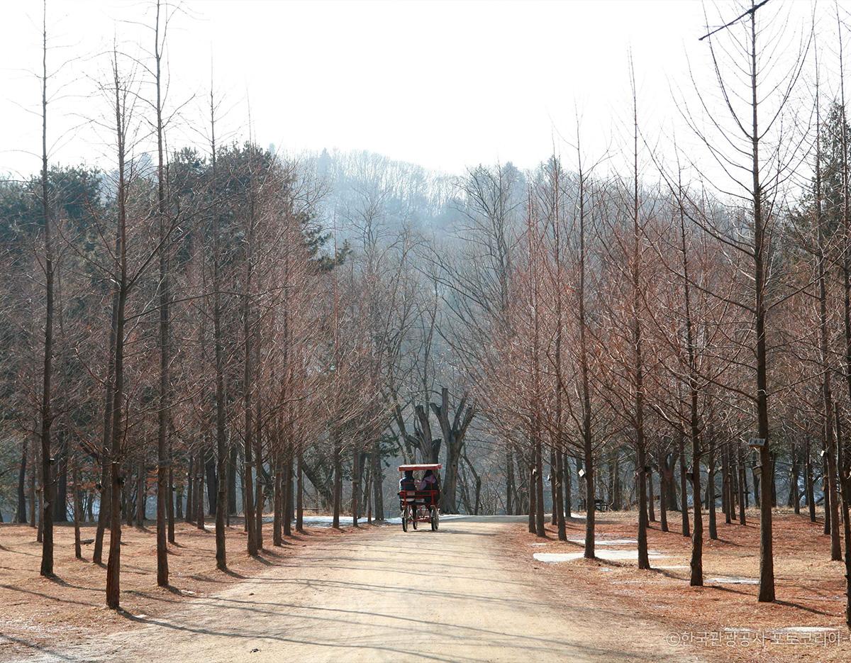 Nami Island + Lotte World/Seoul Sky One Day Tour