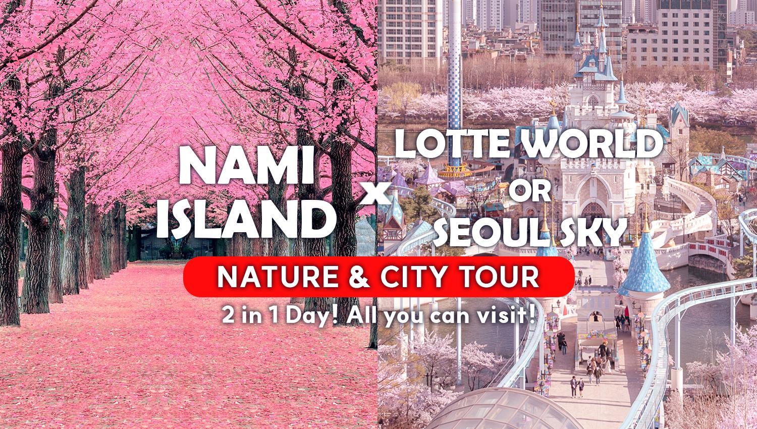 Nami Island + Lotte World/Seoul Sky Day Tour-image