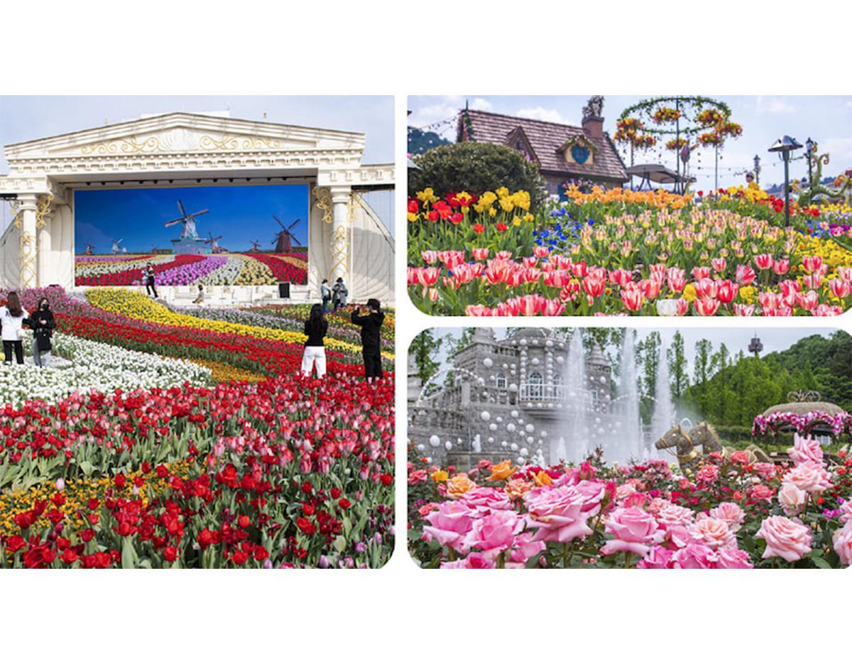 [Everland X Lotte World] Double Theme Park Day Tour