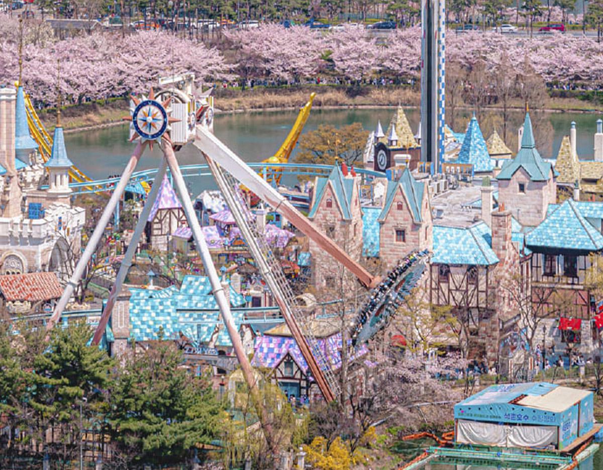 [Everland X Lotte World] Double Theme Park Day Tour